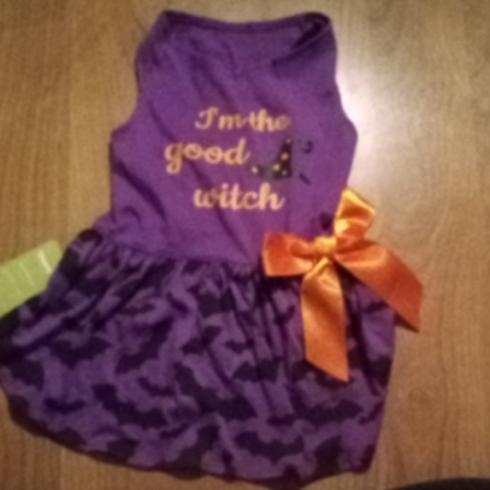 NWT!  Good Witch Dog Costume
